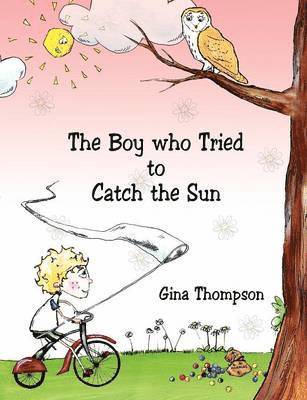 bokomslag Boy who Tried to Catch the Sun