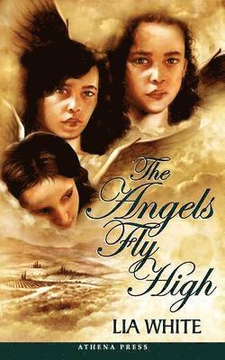 bokomslag Angels Fly High