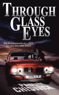 bokomslag Through Glass Eyes