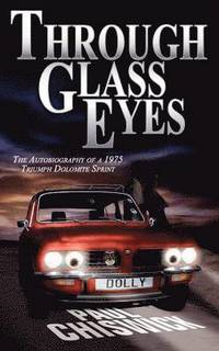 bokomslag Through Glass Eyes