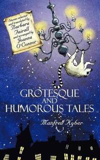 bokomslag Grotesque and Humorous Tales