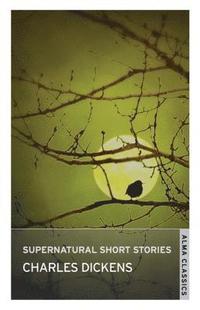 bokomslag Supernatural Short Stories