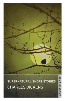 bokomslag Supernatural Short Stories