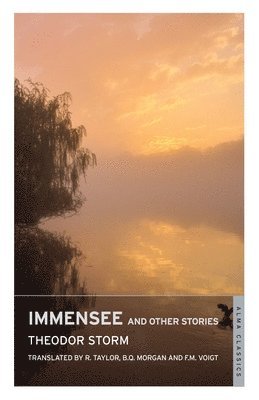 bokomslag Immensee and Other Stories