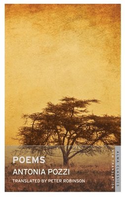 Antonia Pozzi - Poems, Häftad