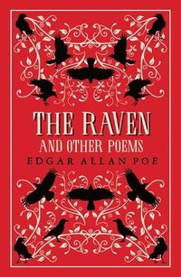 bokomslag The Raven and Other Poems