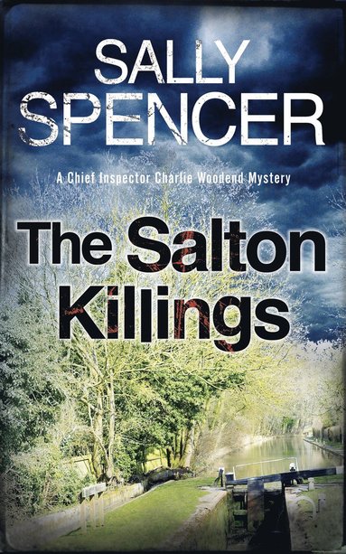 bokomslag Salton Killings