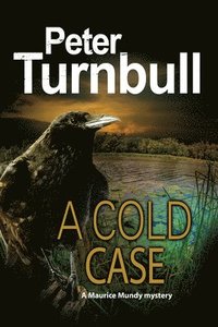 bokomslag A Cold Case