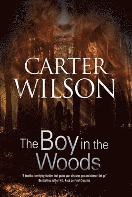 The Boy in the Woods 1