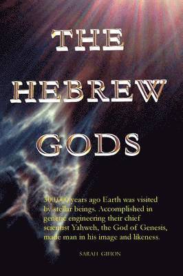 bokomslag THE Hebrew Gods