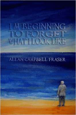 I'm Beginning To Forget What I Look Like