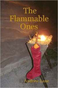 bokomslag Flammable Ones