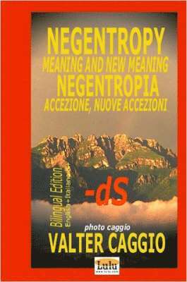 bokomslag NEGENTROPY Meaning and New Meaning NEGENTROPIA Accezione, Nuove Accezioni