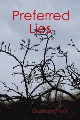 Preferred Lies 1