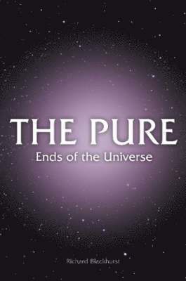 bokomslag PURE - Ends of the Universe