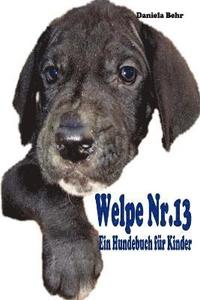 bokomslag Welpe Nr. 13 - Ein Hundebuch Fur Kinder