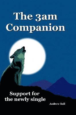 bokomslag The 3am Companion - Support for the Newly Single