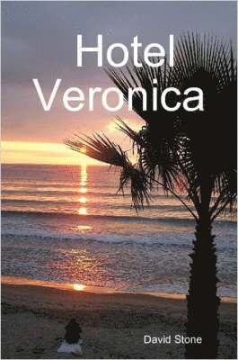 David Stone - Hotel Veronica, Häftad
