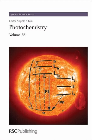 Angelo Albini - Photochemistry, Inbunden