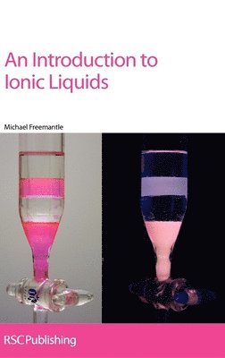 bokomslag Introduction to Ionic Liquids