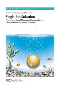 bokomslag Single-Ion Solvation