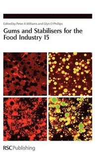 bokomslag Gums and Stabilisers for the Food Industry 15