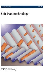 bokomslag Soft Nanotechnology