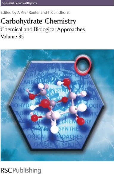 Amélia Pilar Rauter, Thisbe Lindhorst - Carbohydrate Chemistry, Inbunden