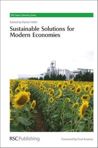 bokomslag Sustainable Solutions for Modern Economies