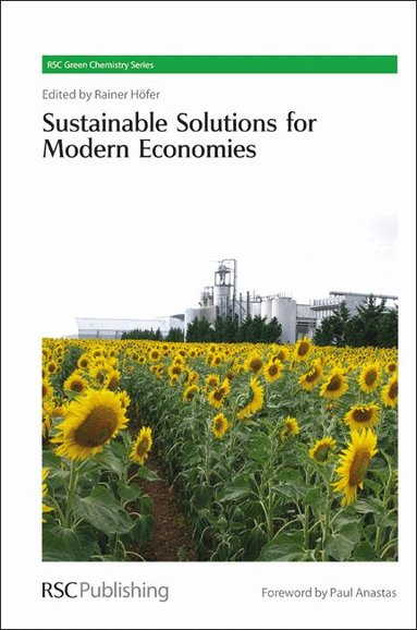 Rainer Höfer - Sustainable Solutions for Modern Economies, Inbunden