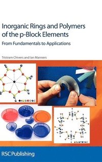 bokomslag Inorganic Rings and Polymers of the p-Block Elements