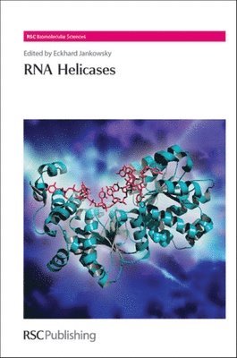 RNA Helicases 1