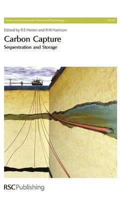 bokomslag Carbon Capture