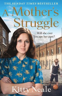 bokomslag Mother's Struggle