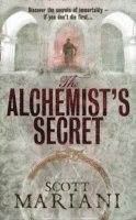 bokomslag Alchemist's Secret