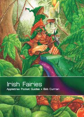 Bob Curran - Irish Fairies, Häftad
