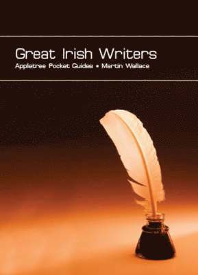 Great Irish Writers