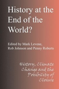 bokomslag History at the End of the World?