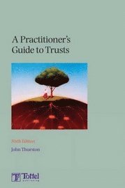 bokomslag Practitioner's Guide To Trusts