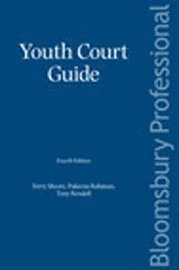 bokomslag Youth Court Guide