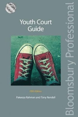 bokomslag Youth Court Guide