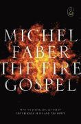 bokomslag Fire Gospel