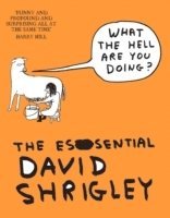 bokomslag What The Hell Are You Doing?: The Essential David Shrigley