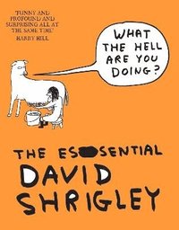 bokomslag What The Hell Are You Doing?: The Essential David Shrigley