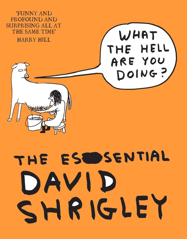 What The Hell Are You Doing?: The Essential David Shrigley 1