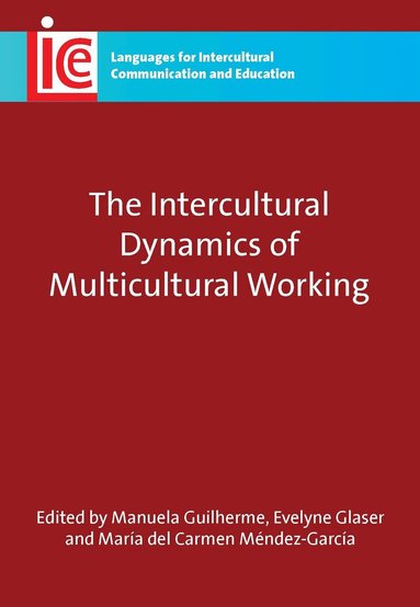 Manuela Guilherme, Evelyne Glaser, María del Carmen Méndez-García - Intercultural Dynamics of Multicultural Working, Häftad