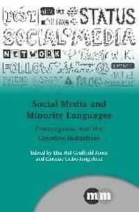 bokomslag Social Media and Minority Languages