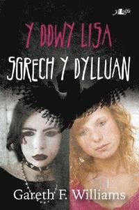 bokomslag Cyfres y Dderwen: Y Ddwy Lisa - Sgrech y Dylluan