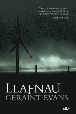 bokomslag Llafnau