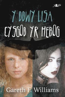 bokomslag Cyfres y Dderwen: Y Ddwy Lisa - Cysgod yr Hebog